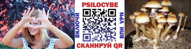 Псилоцибиновые грибы мухоморы  цена   Юрга 